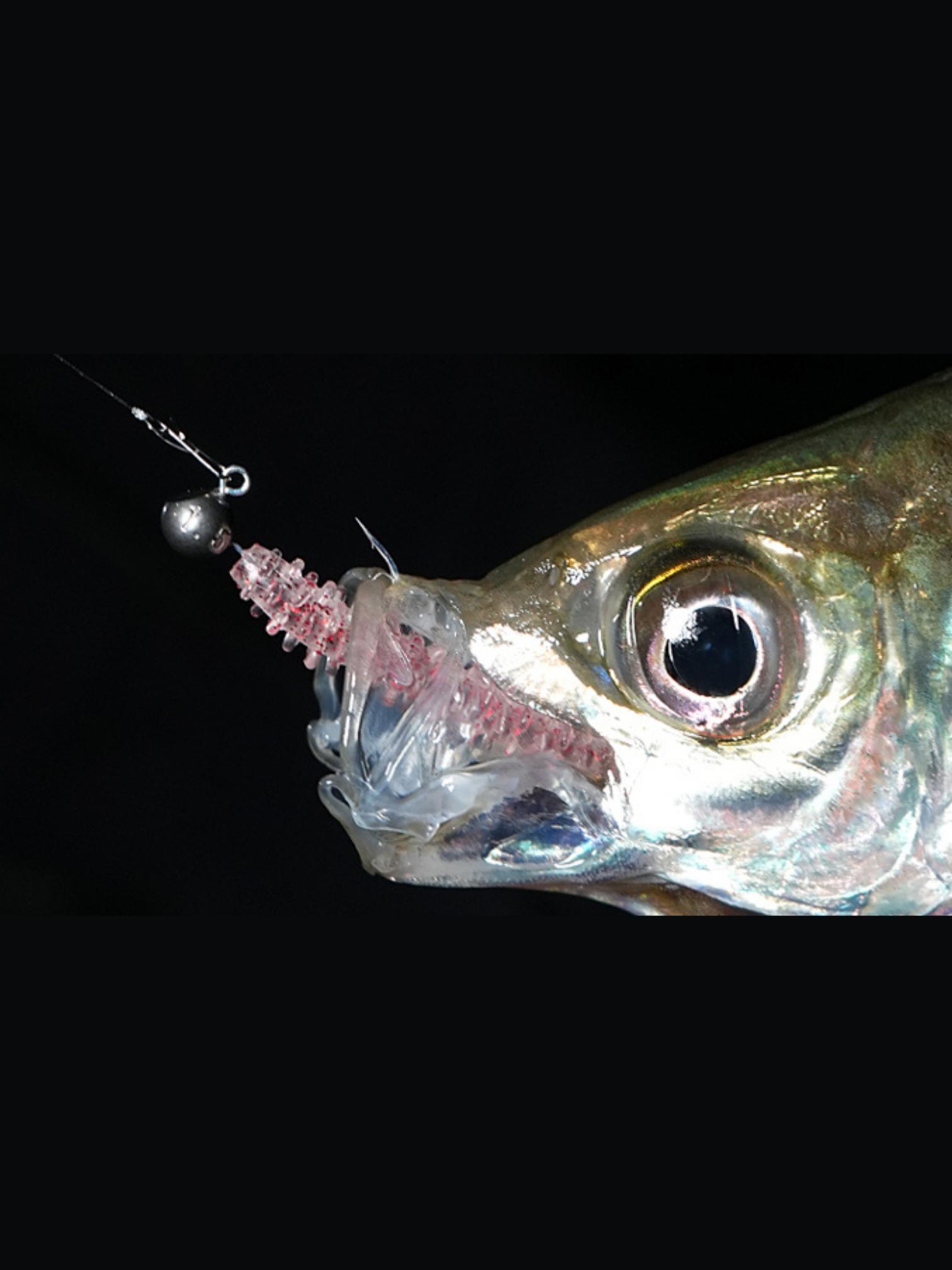 Tict%20Azing%20Standard%20Tungsten%20Jighead