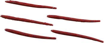 Berkley%20Gulp!%20Alive!®%20Angle%20Worm