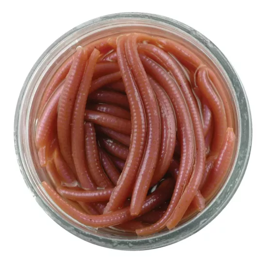 Berkley Gulp! Alive!® Angle Worm | LRF Dükkanı – Canlı ve Etkili Silikon
